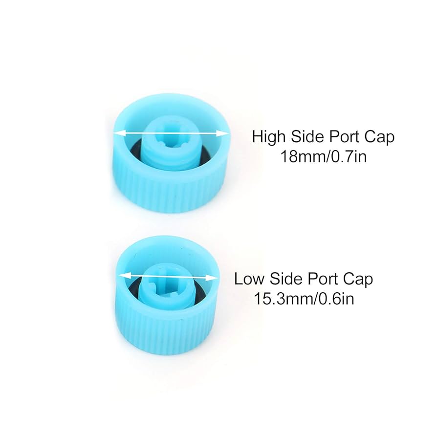 Amazon.com: A/C Refrigerant Port W/High/Low Side ABS Air